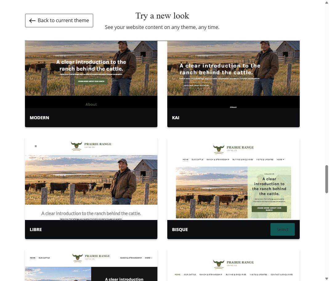 More themes · library view 1 of 8