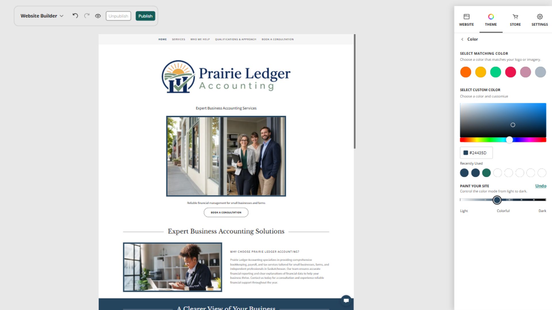 Prairie Ledger Accounting desktop Paint your site preview: Colourful sections