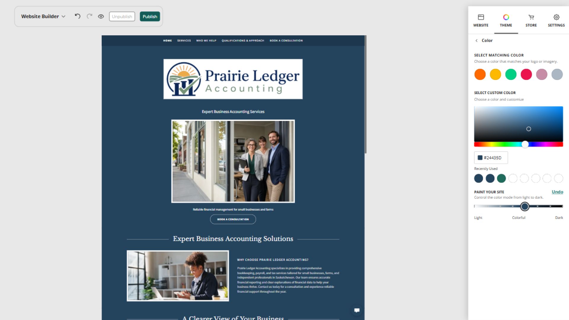 Prairie Ledger Accounting desktop Paint your site preview: Colourful