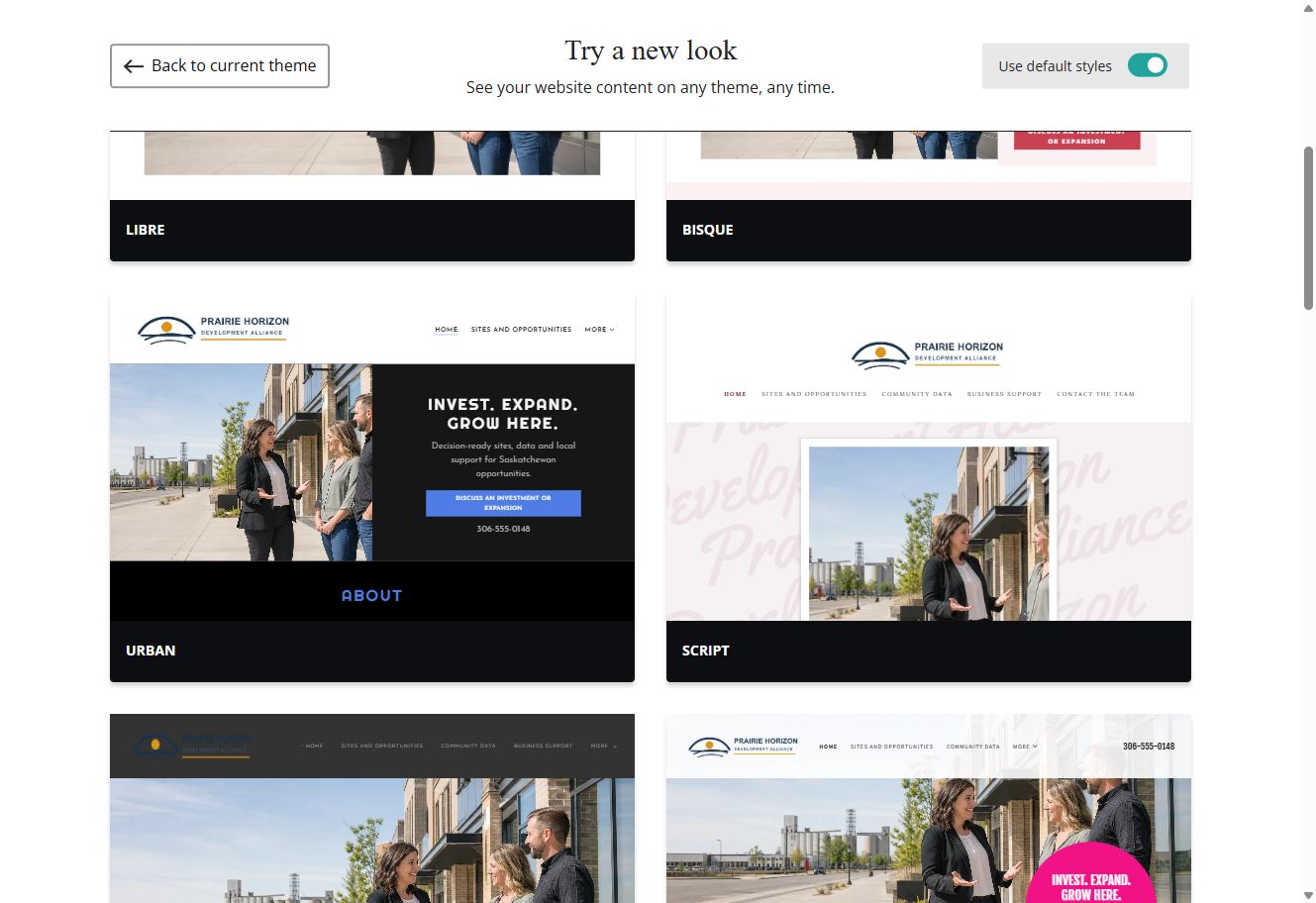 Default-style Website Builder theme previews for Prairie Horizon Development Alliance, group 2