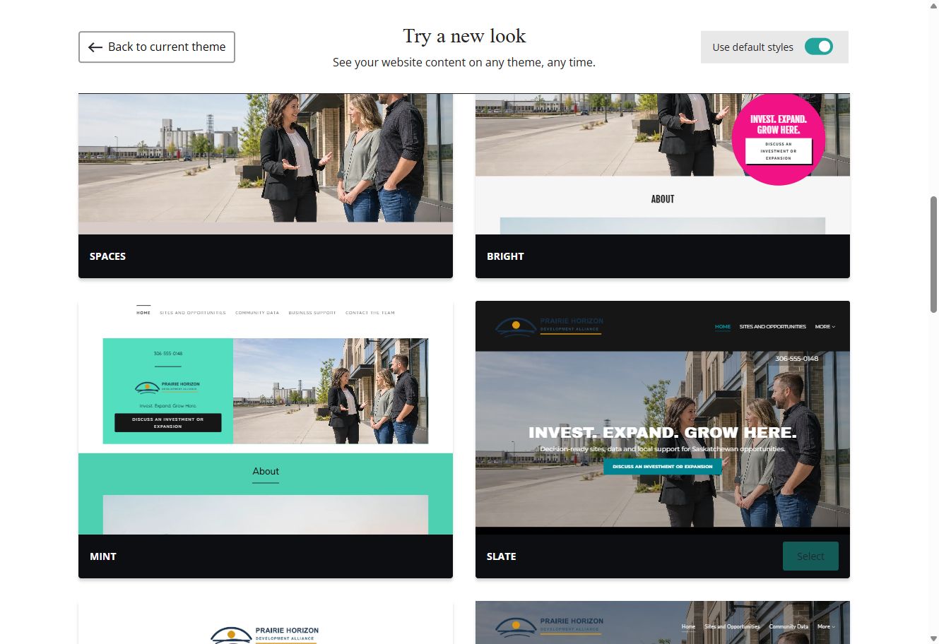 Default-style Website Builder theme previews for Prairie Horizon Development Alliance, group 3