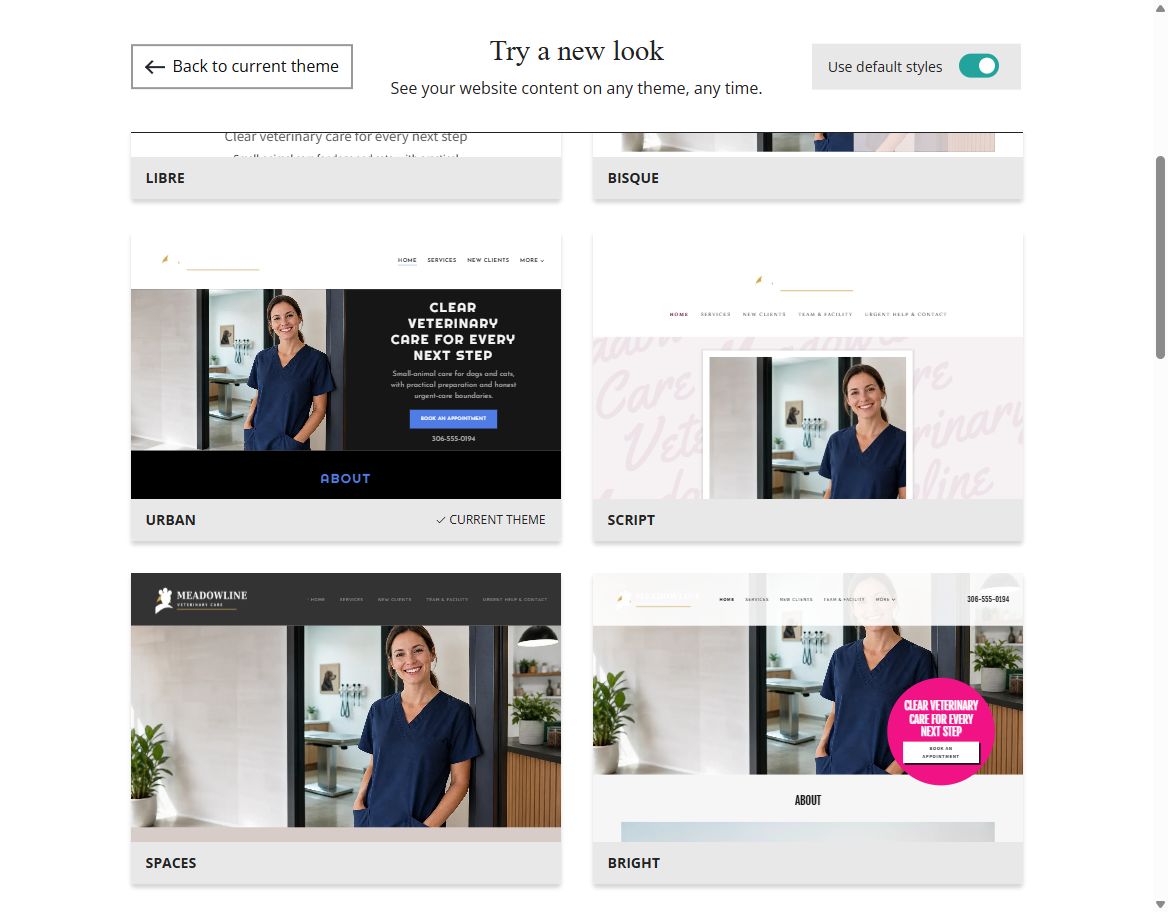 Website Builder default-style theme previews for Meadowline Veterinary Care, group 2