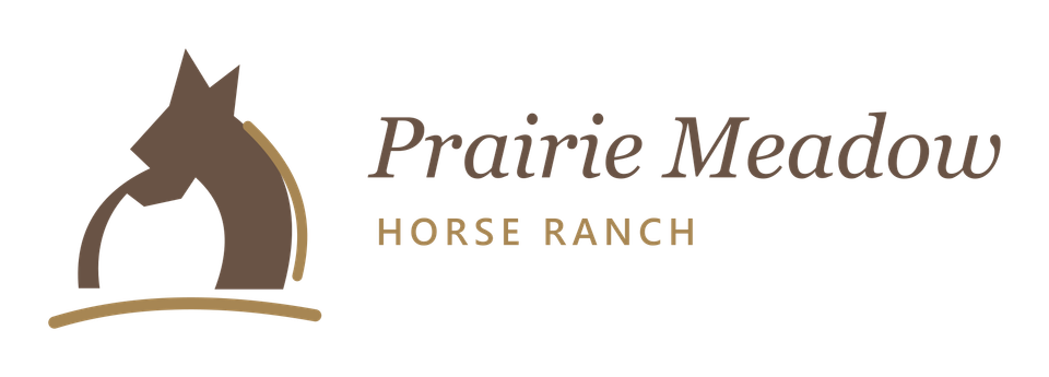 Horse Ranches example company logo