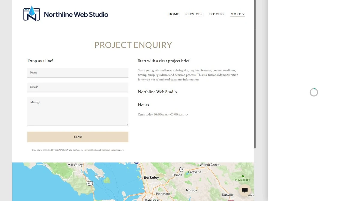 Website Builder theme controls for Northline Web Studio — privacy-cropped excerpt