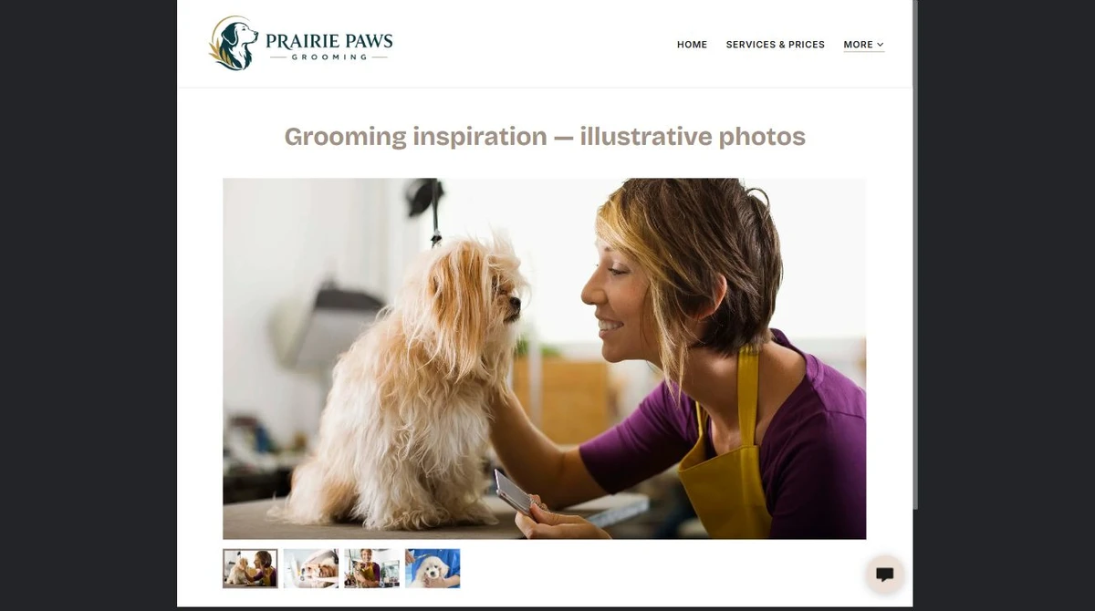 Finished Grooming Gallery example — privacy-cropped excerpt