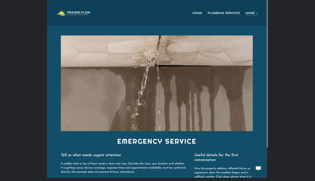 Finished Emergency Service example — privacy-cropped excerpt