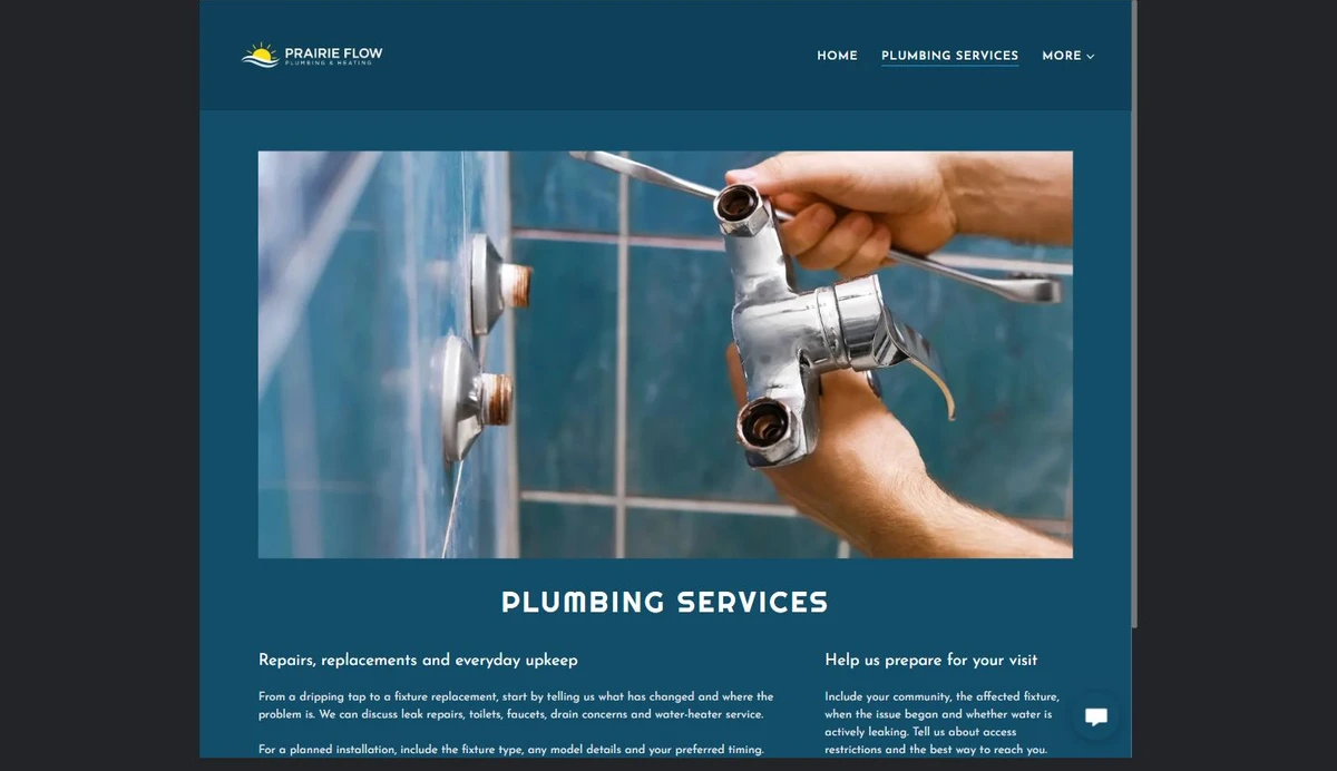 Finished Plumbing Services example — privacy-cropped excerpt