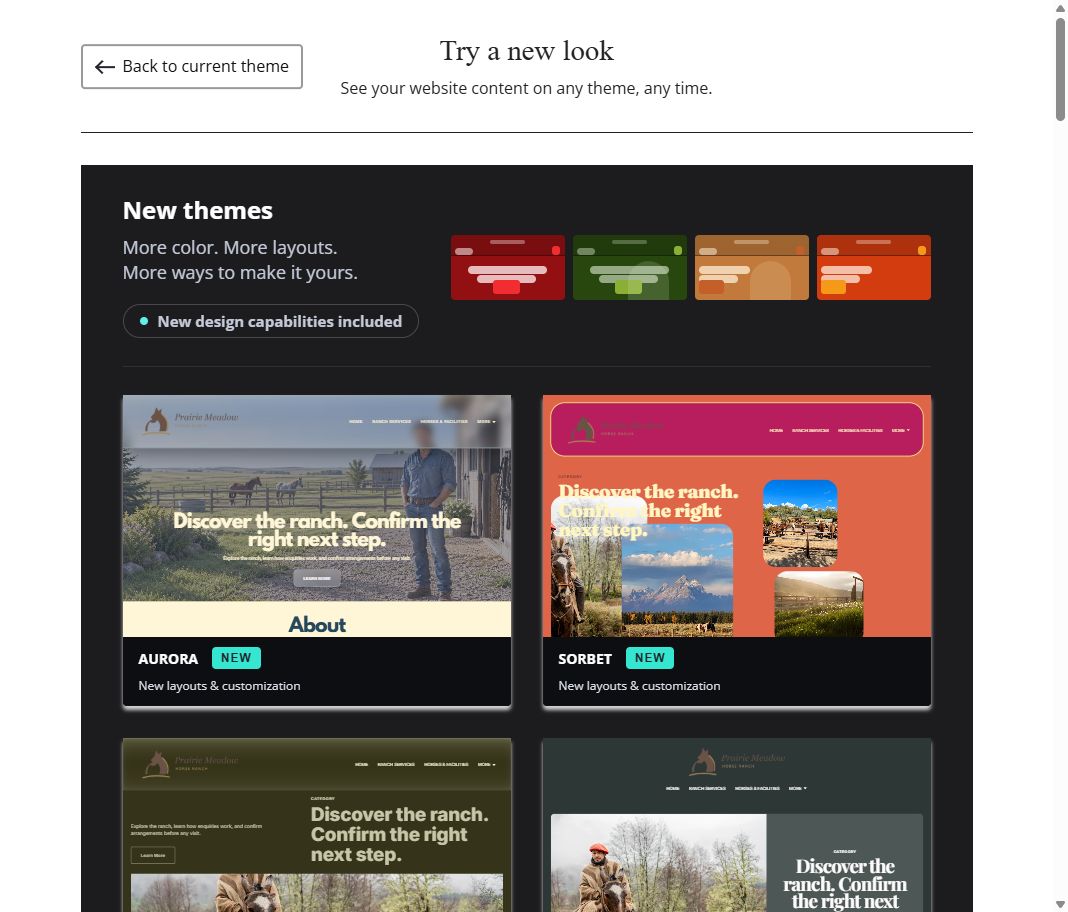 New themes · gallery view 1 of 6