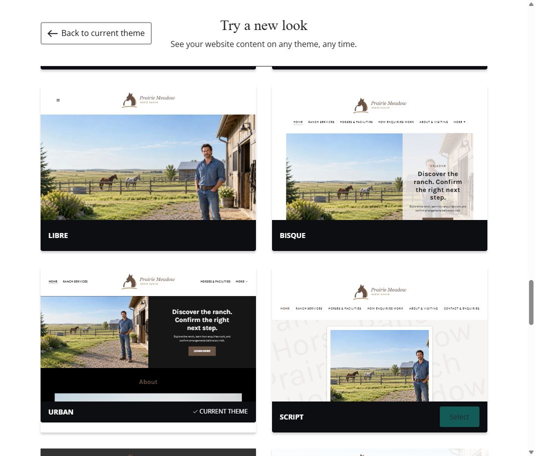 More themes · gallery view 1 of 5